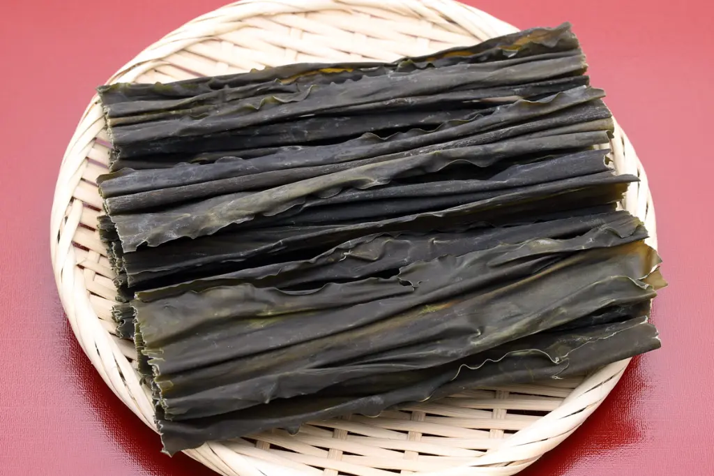 alga-kombu-propiedades-yodo.webp