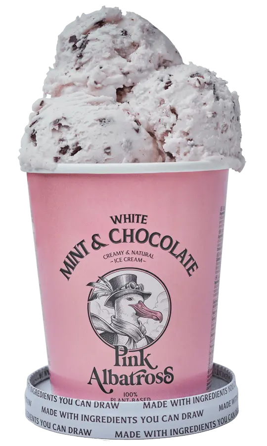 Helado CHOCOLATE BITS & WHITE MINT 480ml - Pink Albatross