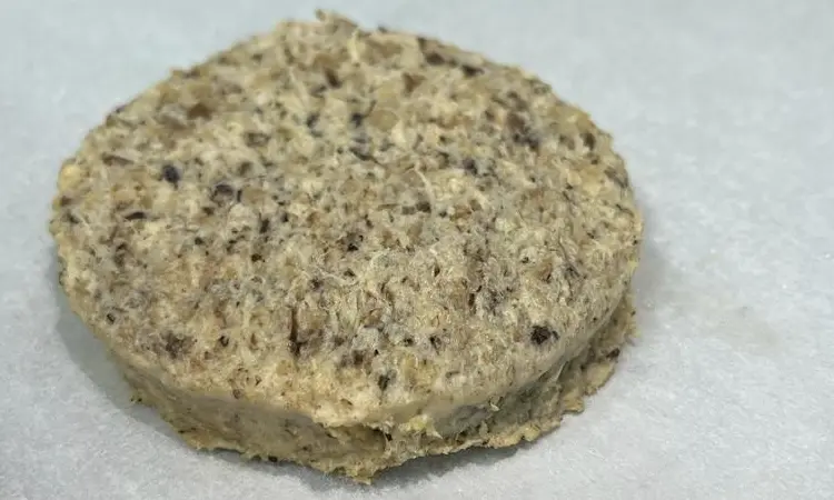 HAMBURGUESAS de TOFU Y SHIITAKE 2 Unidades de 80g - Sanissimi